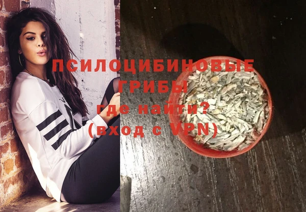 трава Осинники