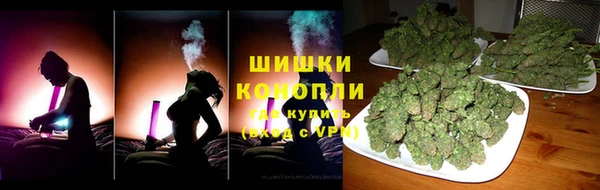 трава Осинники