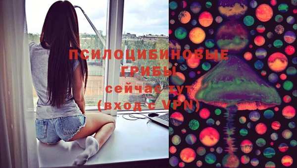 трава Осинники