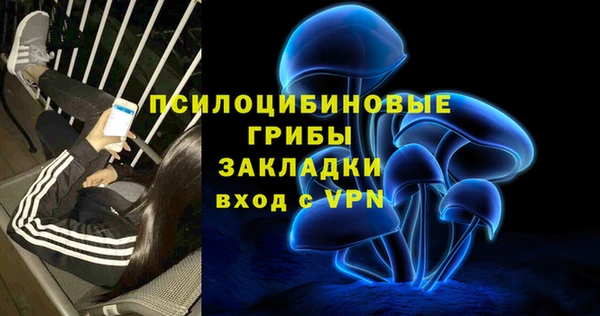 трава Осинники