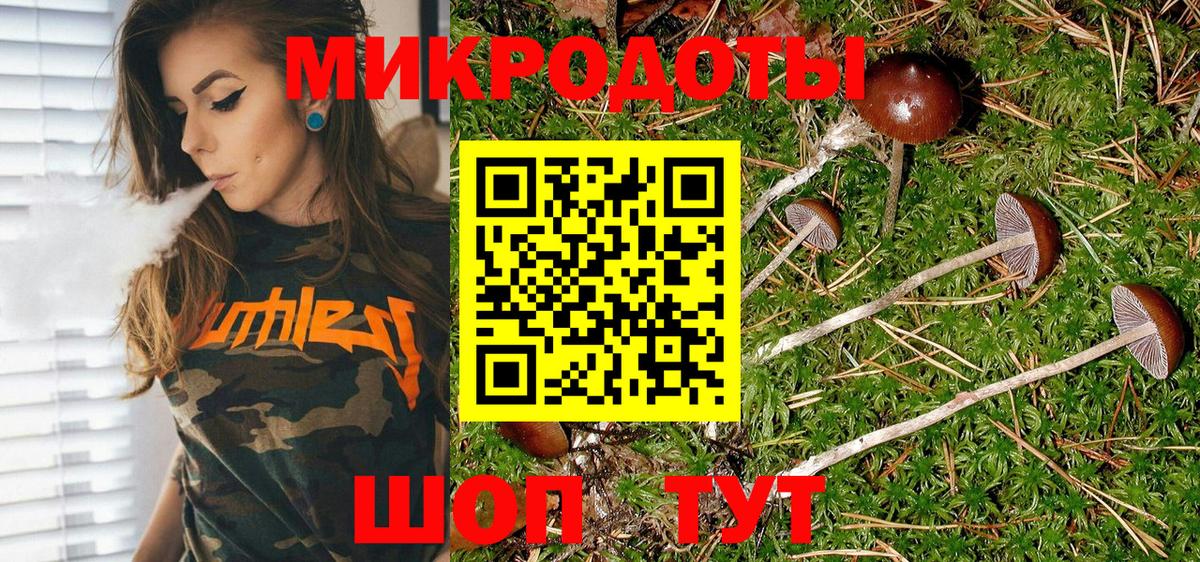 Псилоцибиновые грибы Белебей