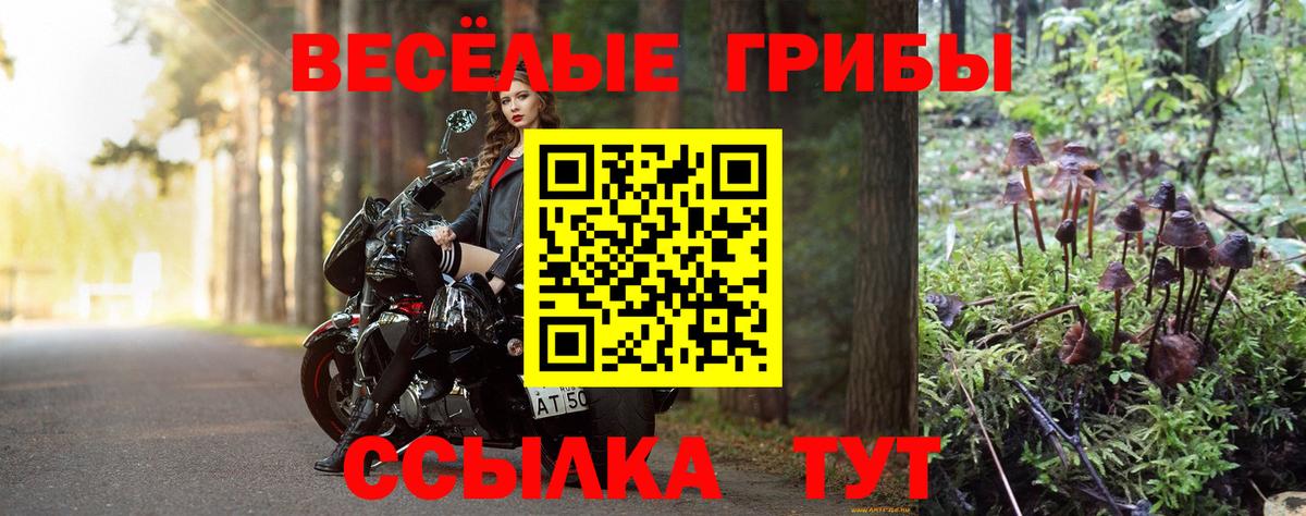 Галлюциногенные грибы MAGIC MUSHROOMS Белебей