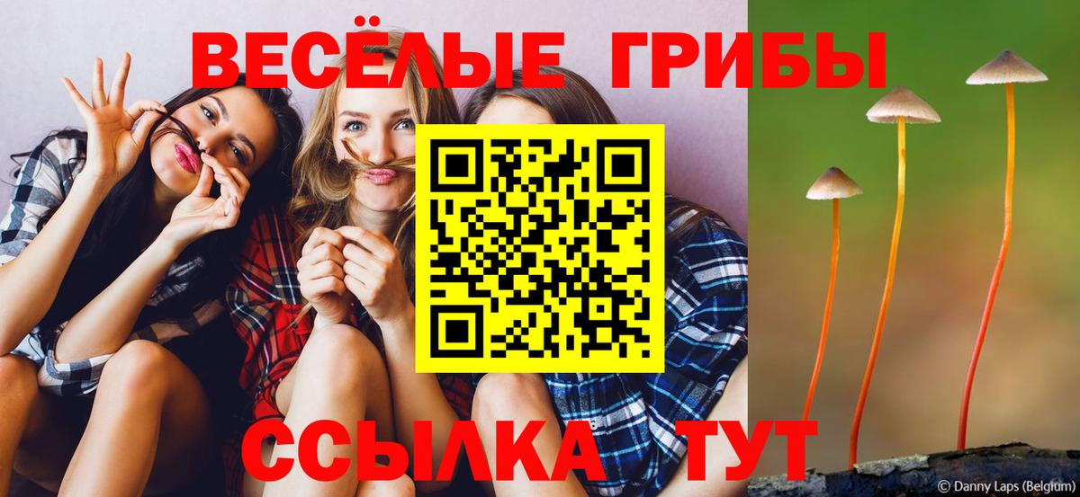 Галлюциногенные грибы прущие грибы  даркнет сайт  Белебей  Галлюциногенные грибы GOLDEN TEACHER 